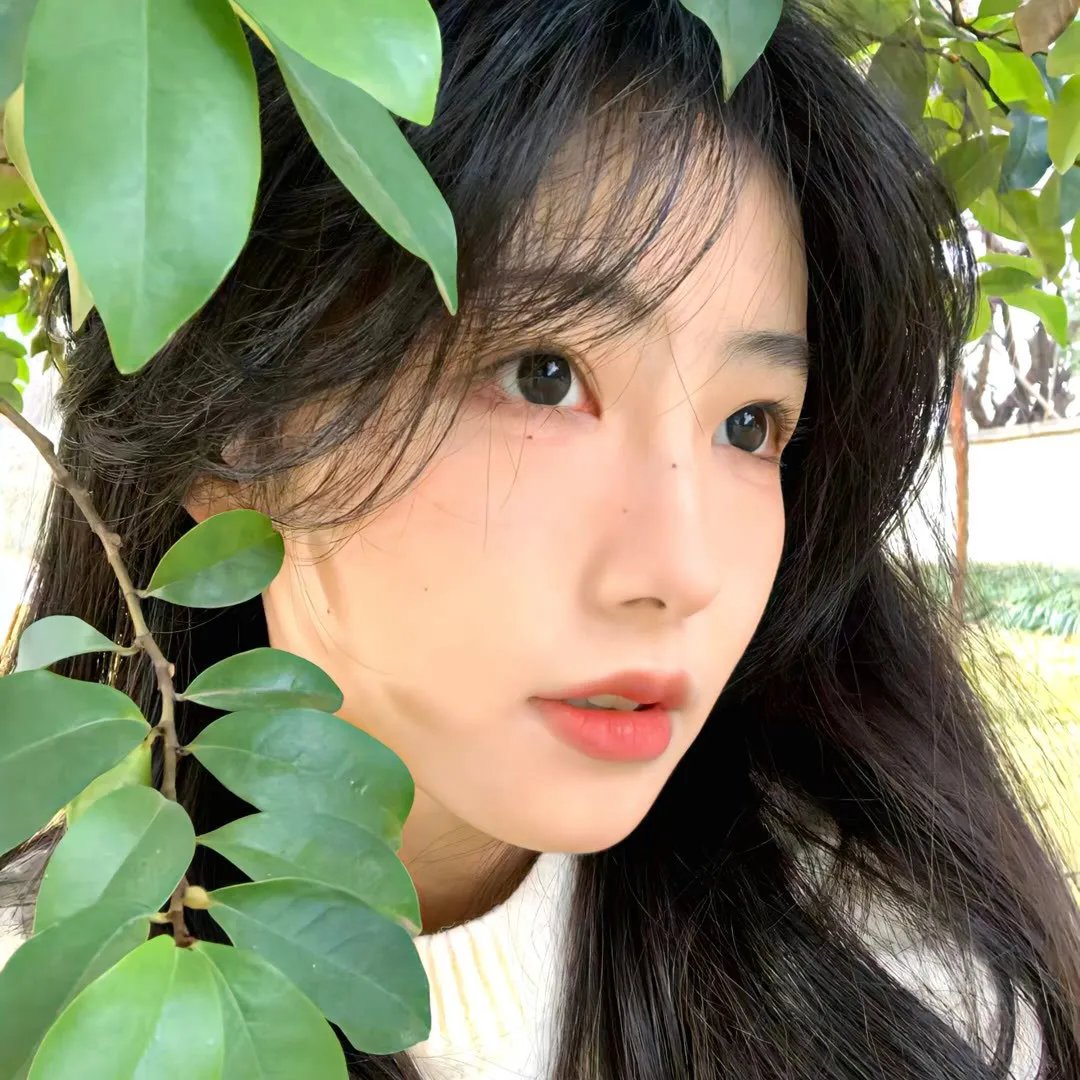 阴尘不散 在线观看封面